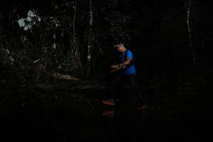 BIB: 
                            <button type="button" onclick="openModal(22435177)" class="btn btn-primary btn-sm float-right btn-popup" data-toggle="modal" data-target=".modal-high-quality">
                        <i class="fas fa-shopping-cart"></i> Add to Cart
                    </button>
                                            <button type="button" onclick="isThisMe(22435177, true)" class="btn btn-success btn-sm float-right btn-popup btn-isme hidden" data-toggle="tooltip" data-placement="bottom" title="นี่คือรูปของคุณใช่ไหม คลิกที่นี่เพื่อเอาเข้าอัลบั้ม">
                        <i class="fas fa-plus"></i> Add to album
                    </button>
                    <button type="button" onclick="isThisMe(22435177, false)" class="btn btn-warning btn-sm float-right btn-popup btn-isnotme hidden">
                        <i class="fas fa-ban"></i> Remove from album
                    </button>